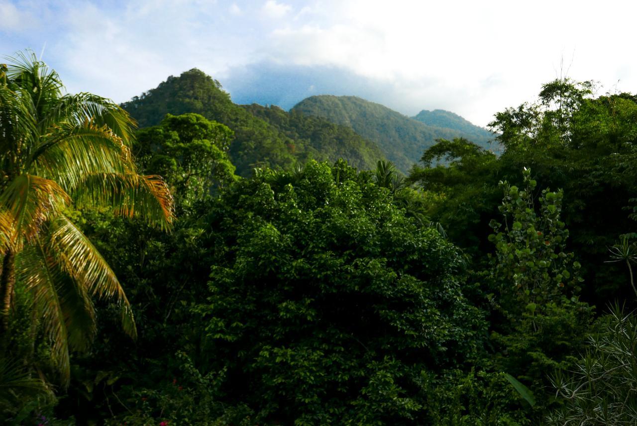 Omega Tours Eco-Jungle Lodge Ла-Сейба Екстер'єр фото