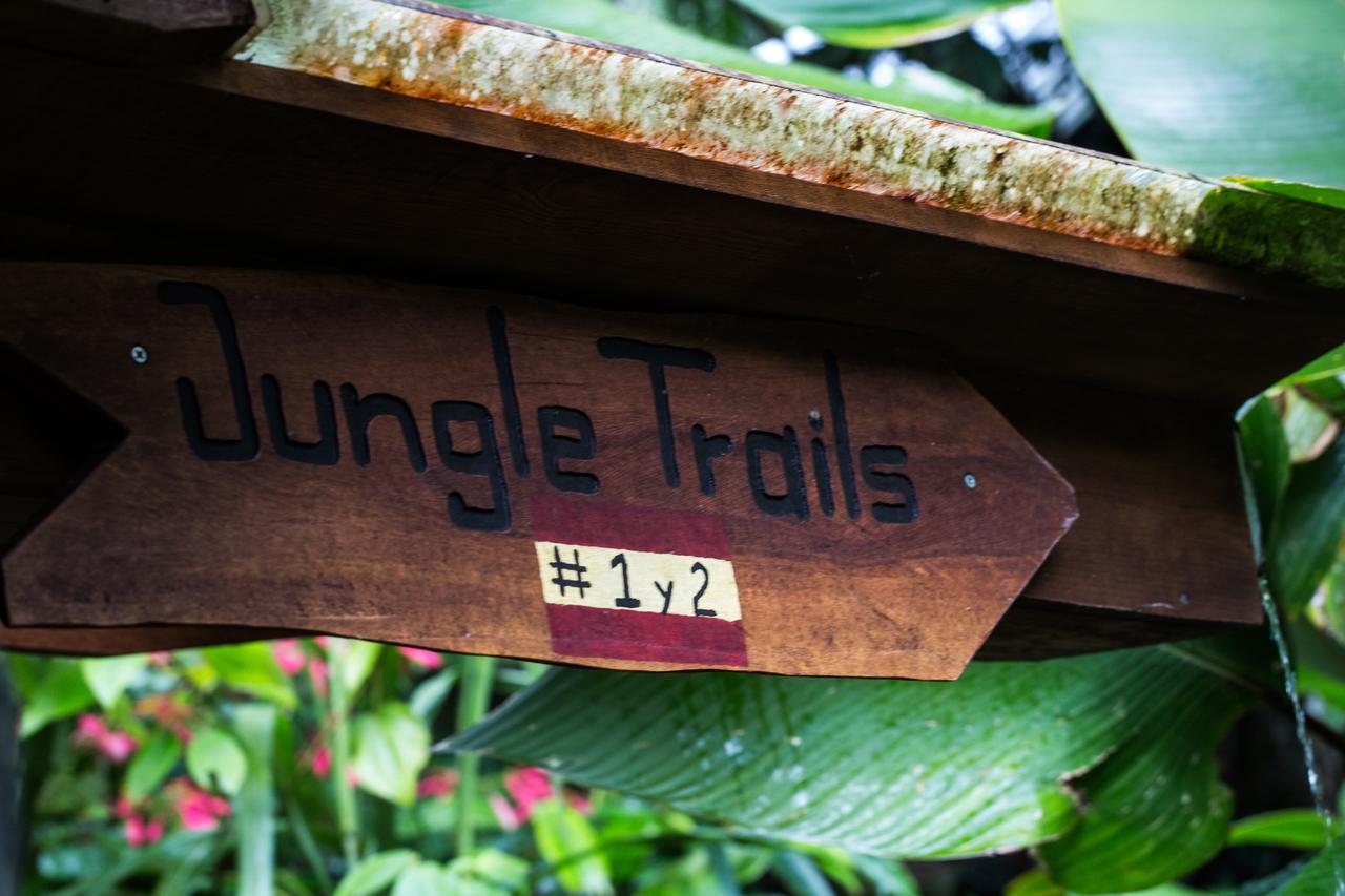 Omega Tours Eco-Jungle Lodge Ла-Сейба Екстер'єр фото