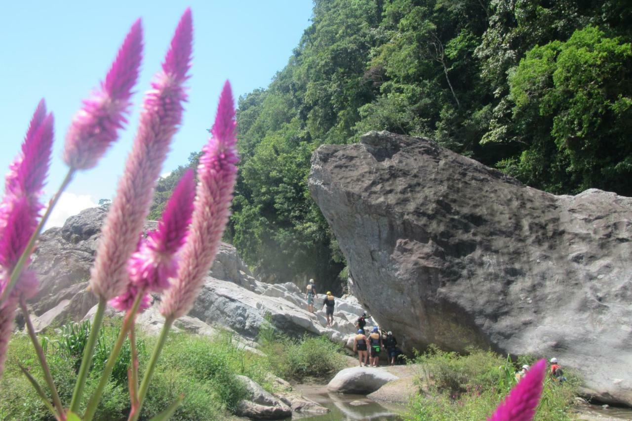 Omega Tours Eco-Jungle Lodge Ла-Сейба Екстер'єр фото
